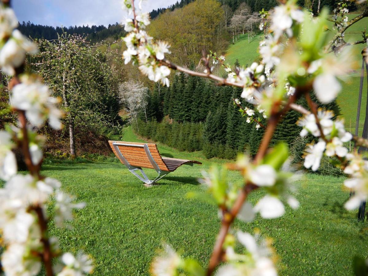 Buehlbauernhof Vila Bad Peterstal-Griesbach Exterior foto