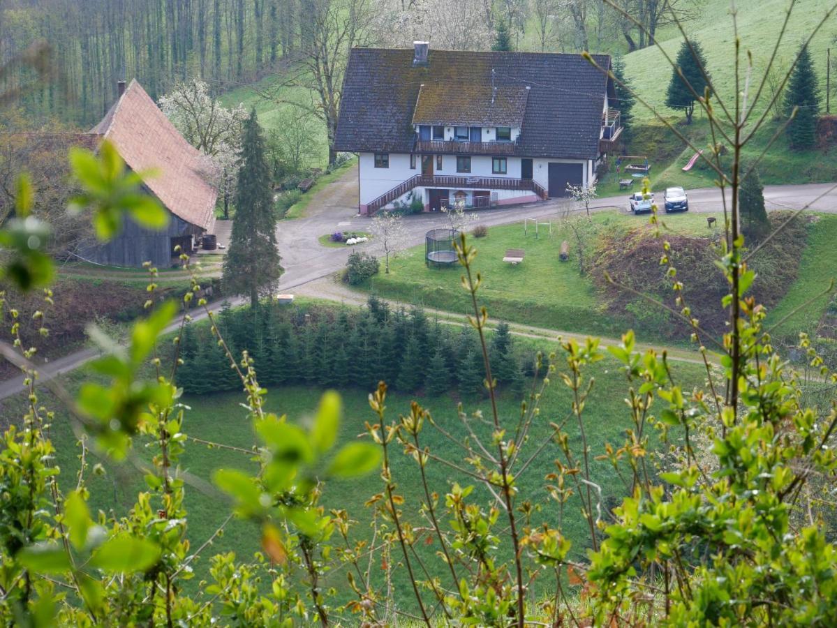 Buehlbauernhof Vila Bad Peterstal-Griesbach Exterior foto